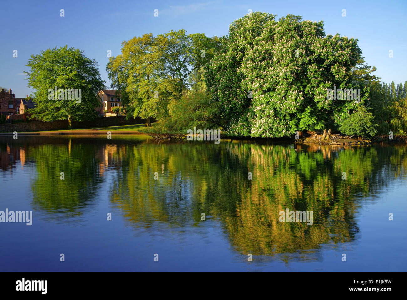 UK,South Yorkshire,Sheffield,Hillsborough Park Lake & Reflections Stock Photo