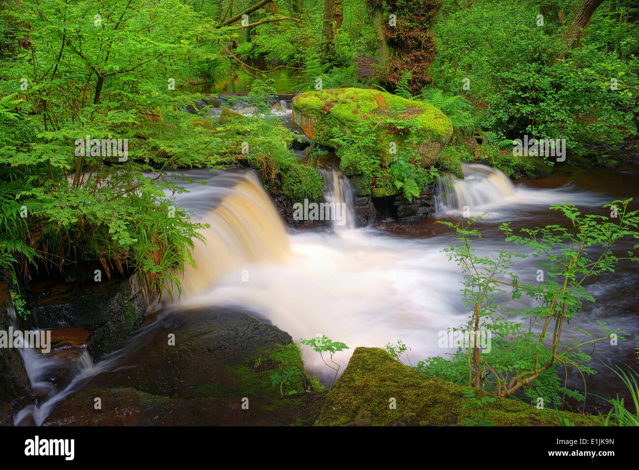 UK,South Yorkshire,Sheffield,River Rivelin,Third Coppice Wheel Stock Photo