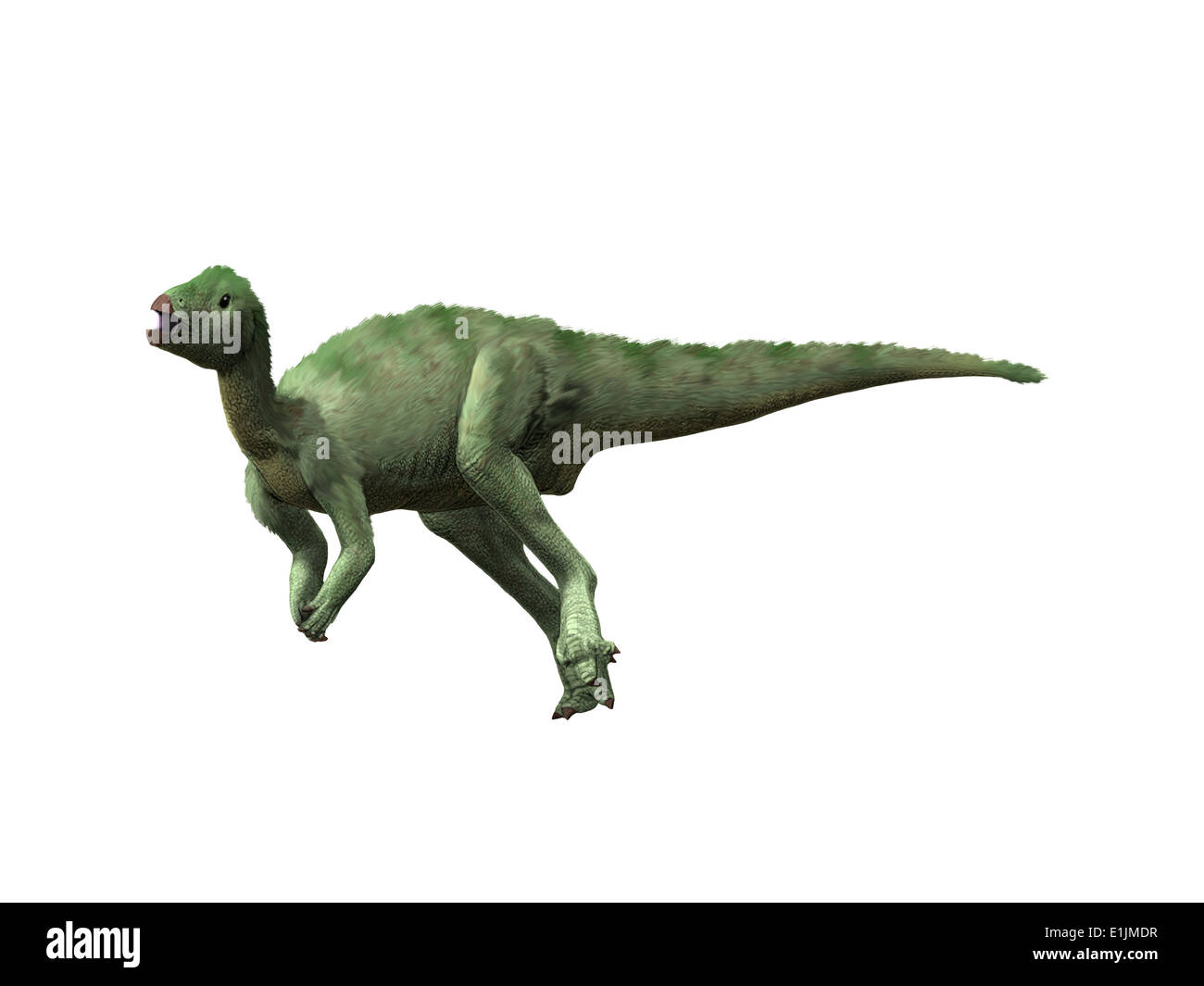 Hypsilophodon dinosaur running or jumping - 3D render Stock Photo - Alamy