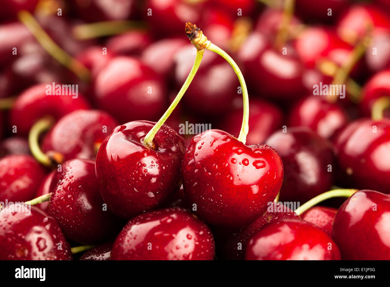 cherry macro Stock Photo