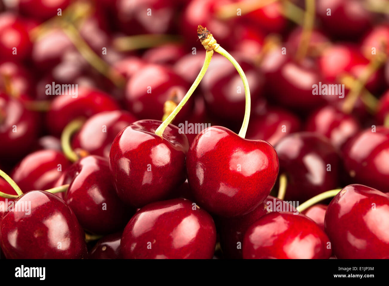 cherry macro Stock Photo