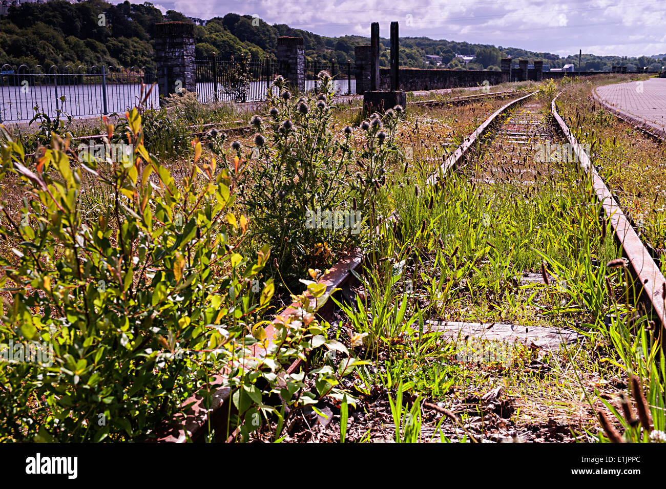 Abandoned narrow guage railway line at Foyle Valley Railway Museum, Derry, Londonderry, Northern Ireland, UK, Europe Stock Photo
