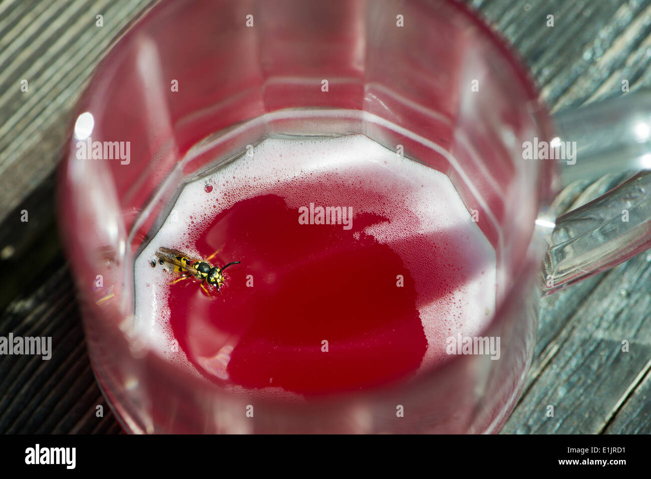 Wasp alcohol hi-res stock photography and images - Alamy