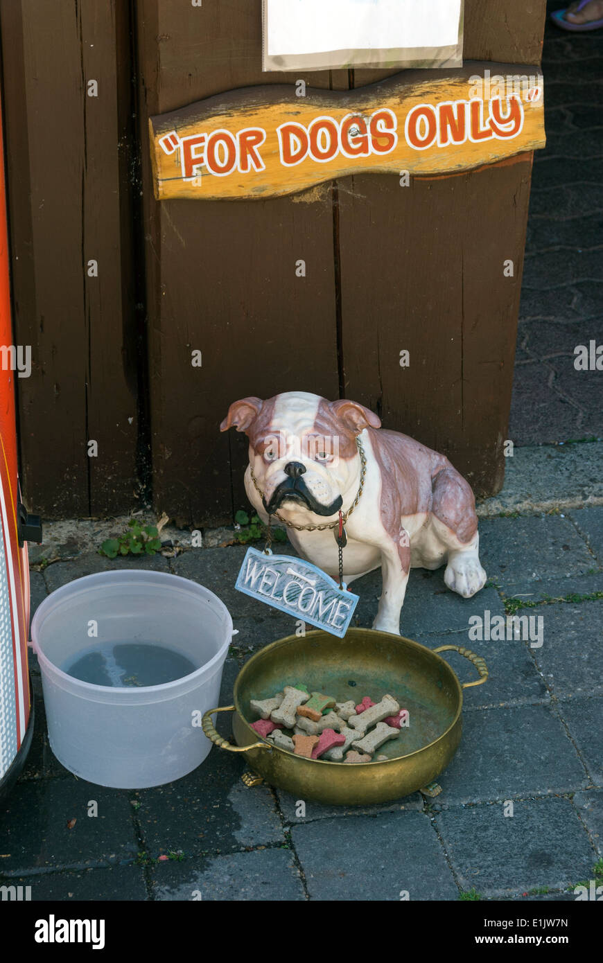 Elk203-1706v Canada, British Columbia, Kimberly, dog treats Stock Photo