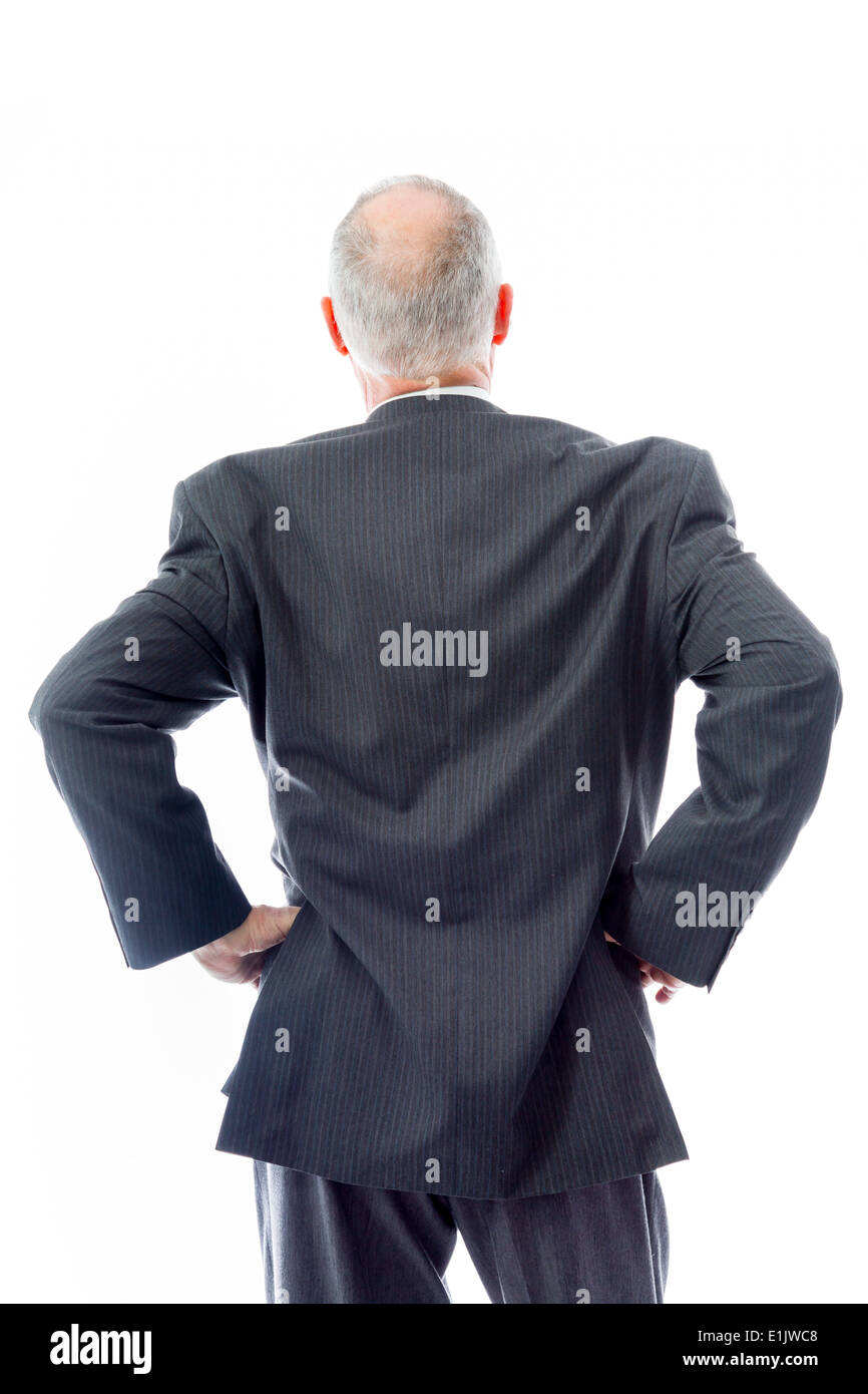 Rear view of a businessman standing with his arms akimbo Stock Photo