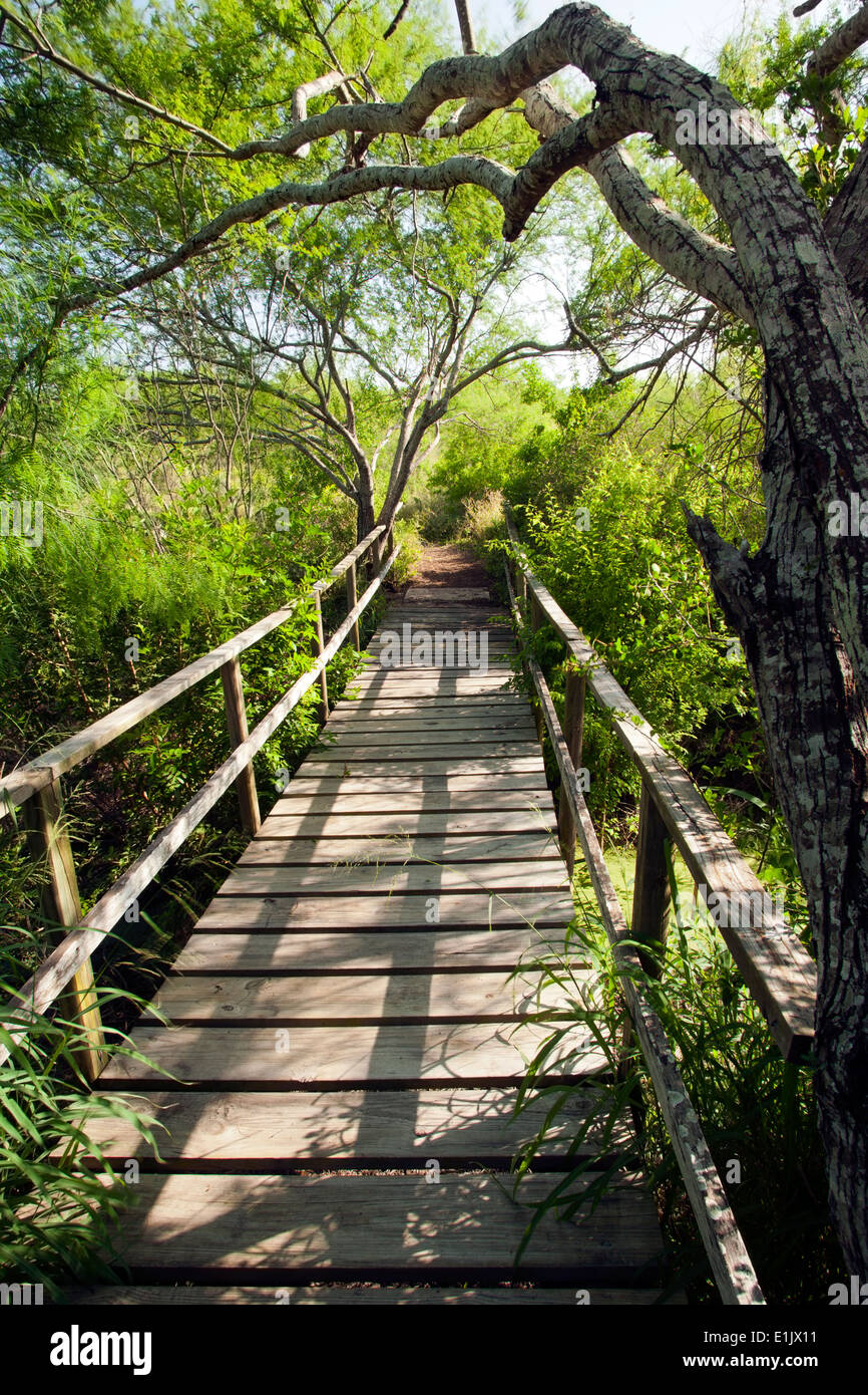 Wooden Bridge at Camp Lula Sams Brownsville, Texas USA Stock Photo