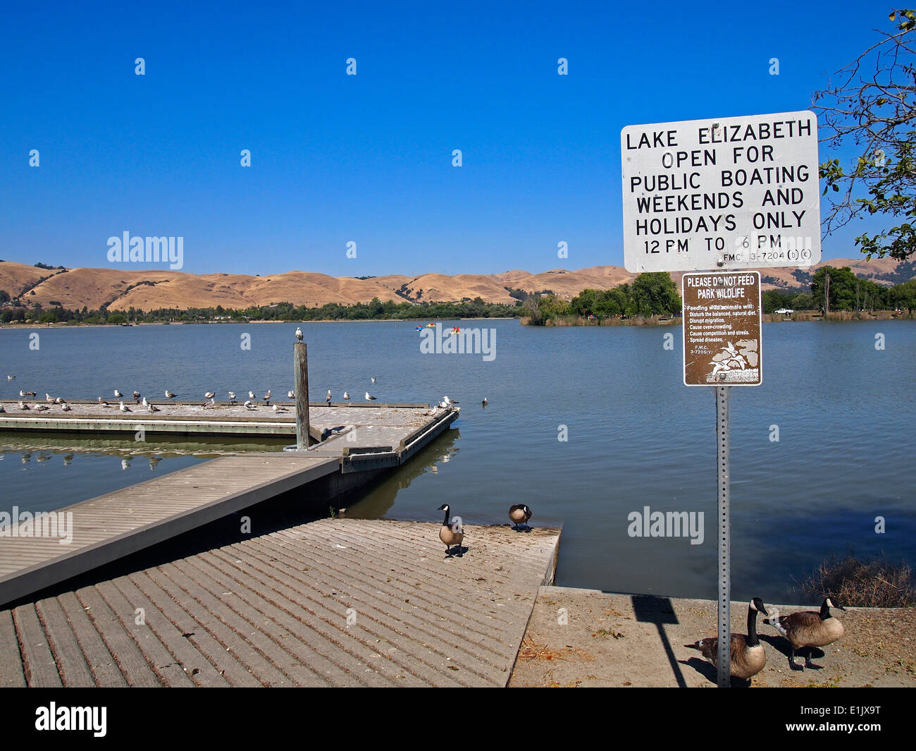 Signs, Do Not feed wildlife, public boating, Lake Elizabeth Fremont California USA Stock Photo