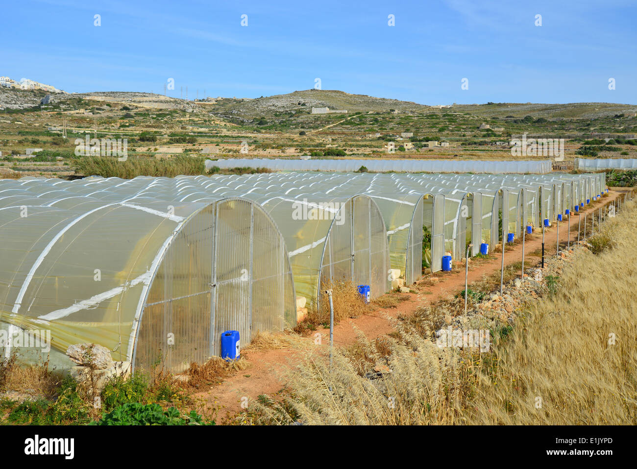 Polytunnel greenhouses near Mellieħa (ilMellieħa), Northern District