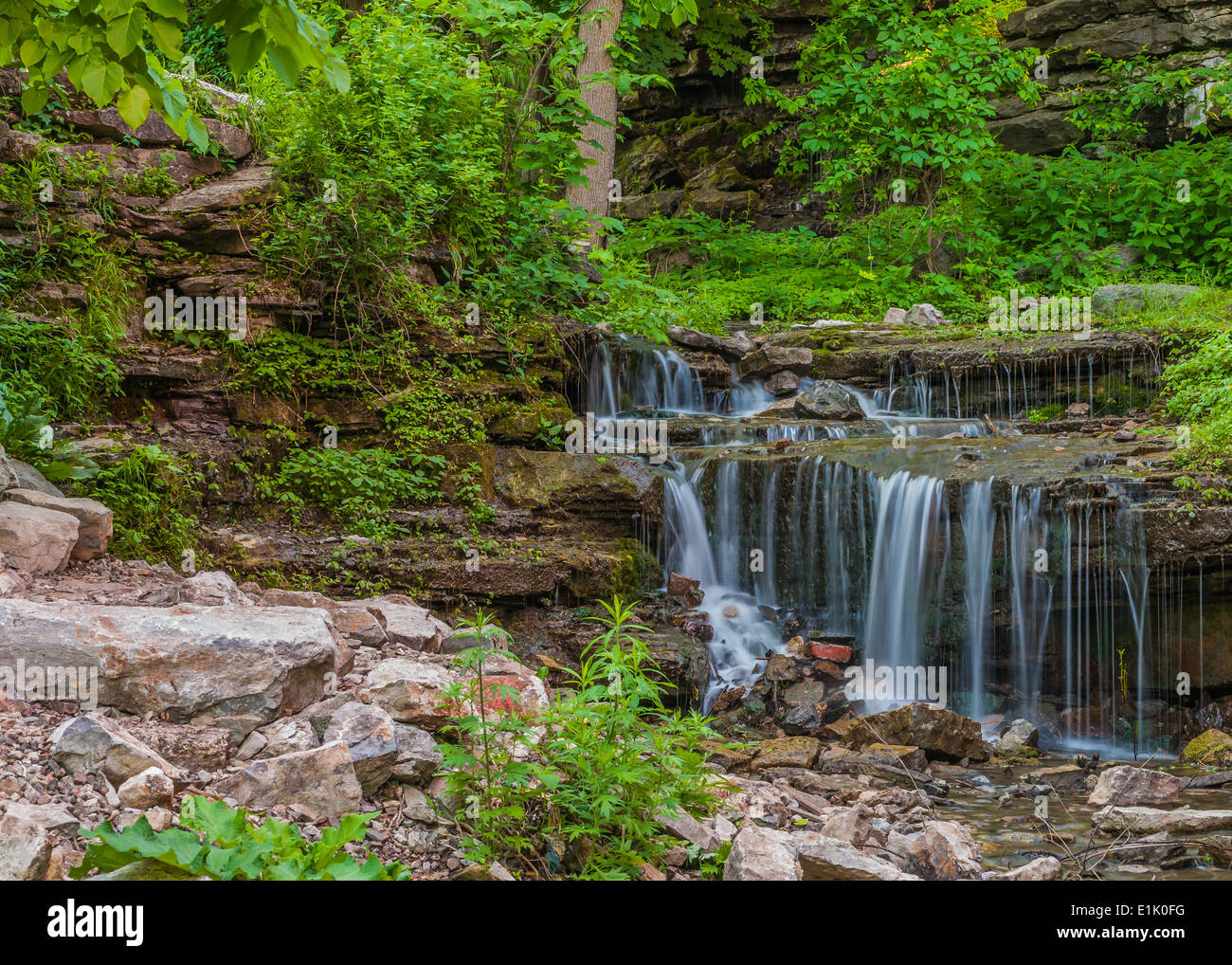 Waterfall In A Glen in the late spring. Stock Photo