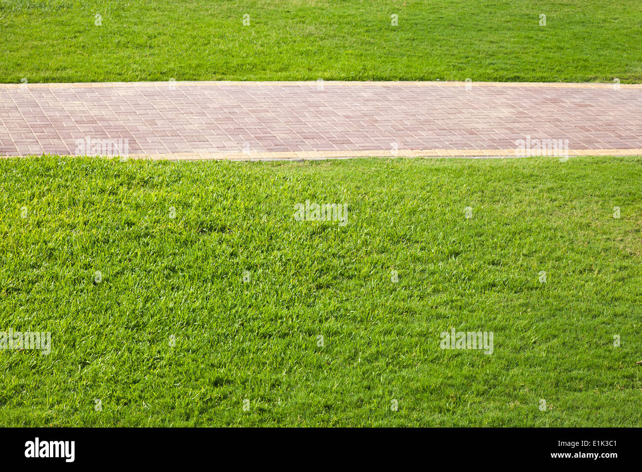 Green grass and paved lane in the park Stock Photo
