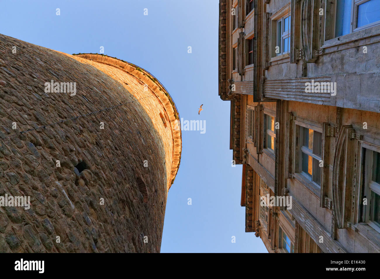 Turkey, Istanbul, Galata, Galata Tower, house and flying bird Stock Photo