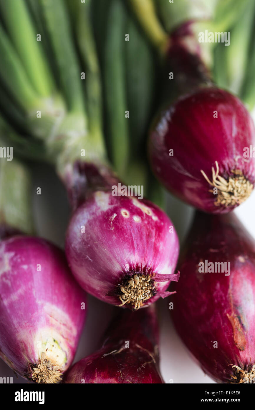 Leek spring onion hi-res stock photography and images - Alamy