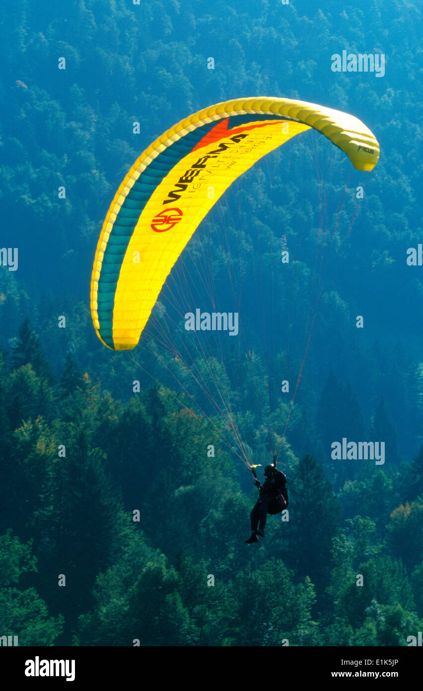 Gliding Stock Photo