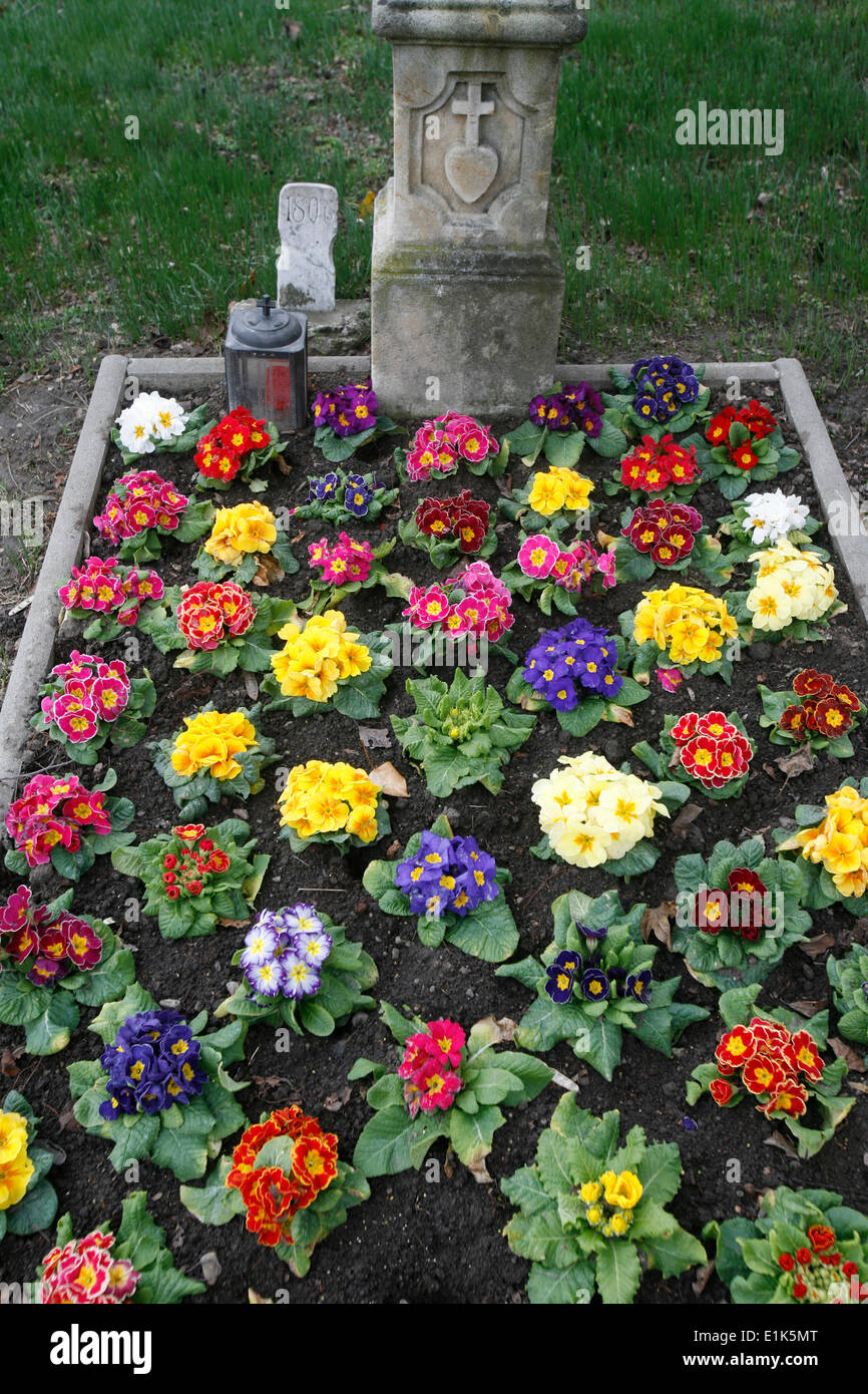 Flowers on a grave Stock Photo Alamy