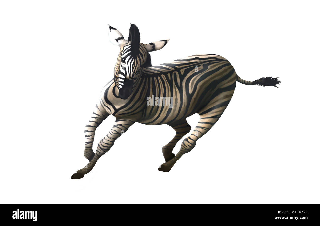 Computer artwork of a galloping zebra (Equus sp.) Zebras are wild horses that inhabit the savannahs of Africa and graze Stock Photo