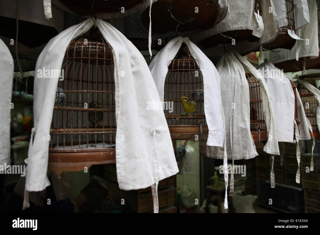 Bird market in Kowloon. Stock Photo