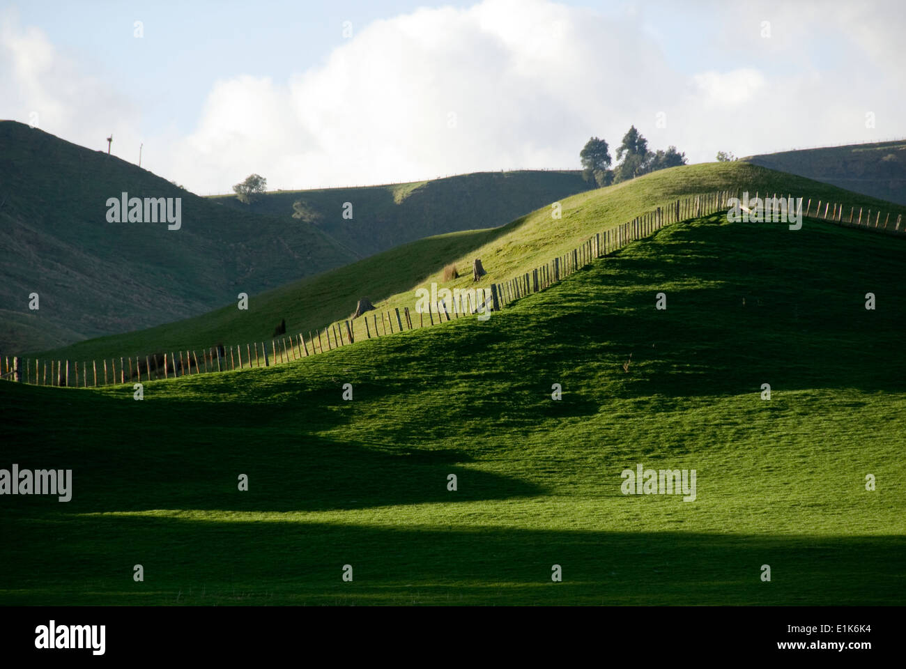 Rolling hills new zealand hi-res stock photography and images - Alamy