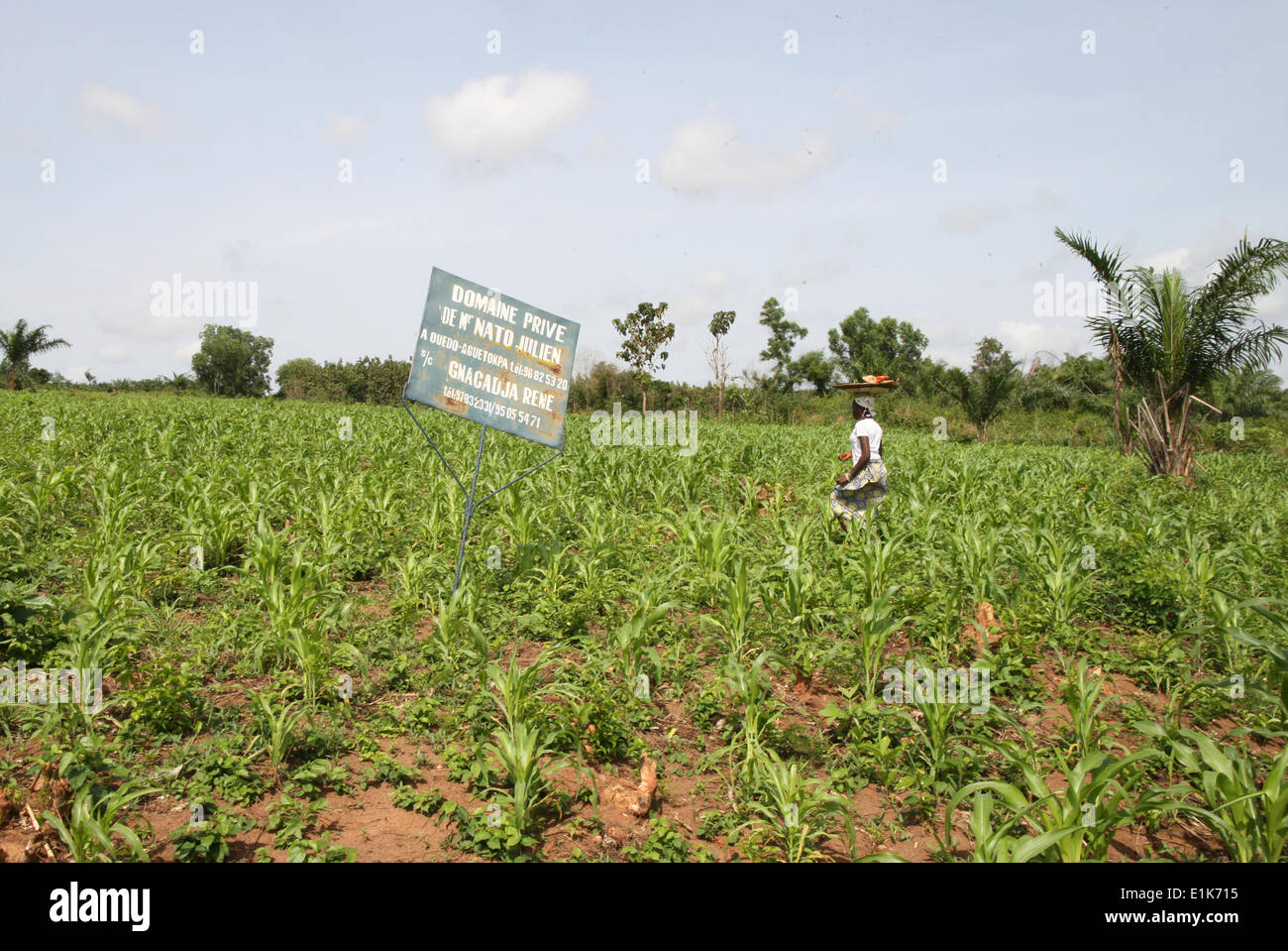 Farm land Stock Photo