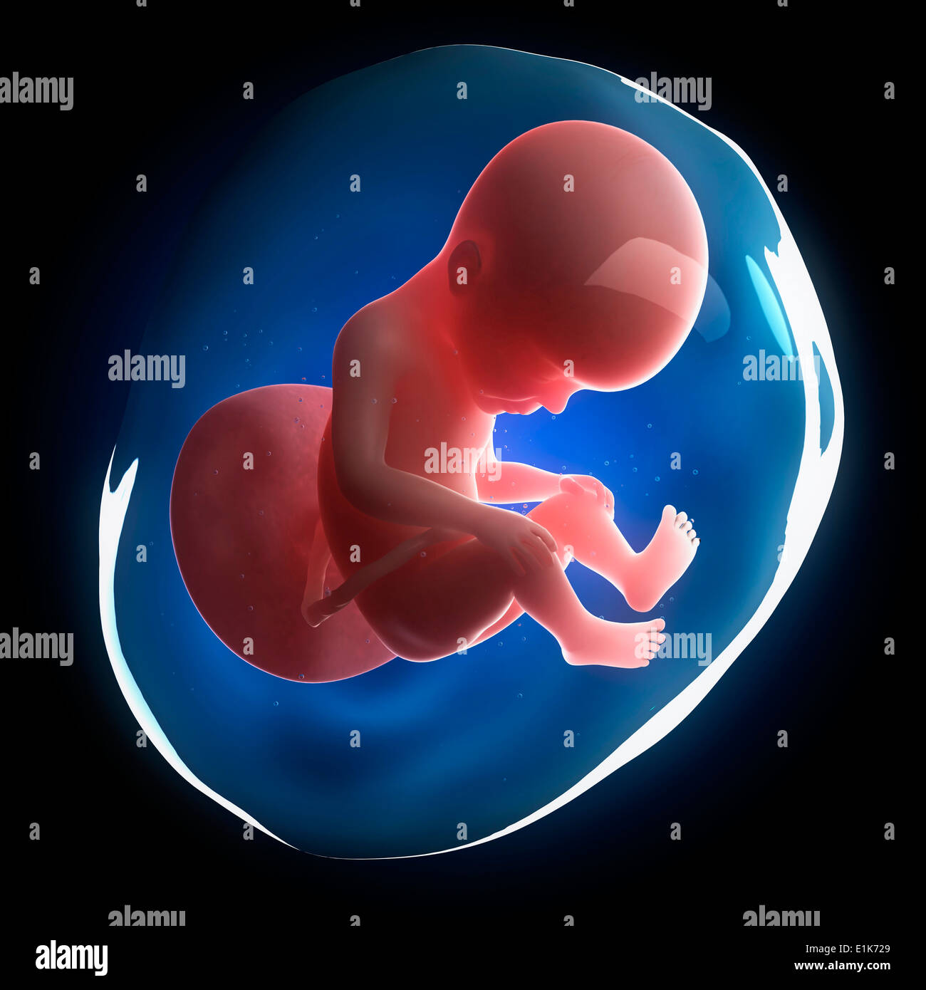 My Image 26