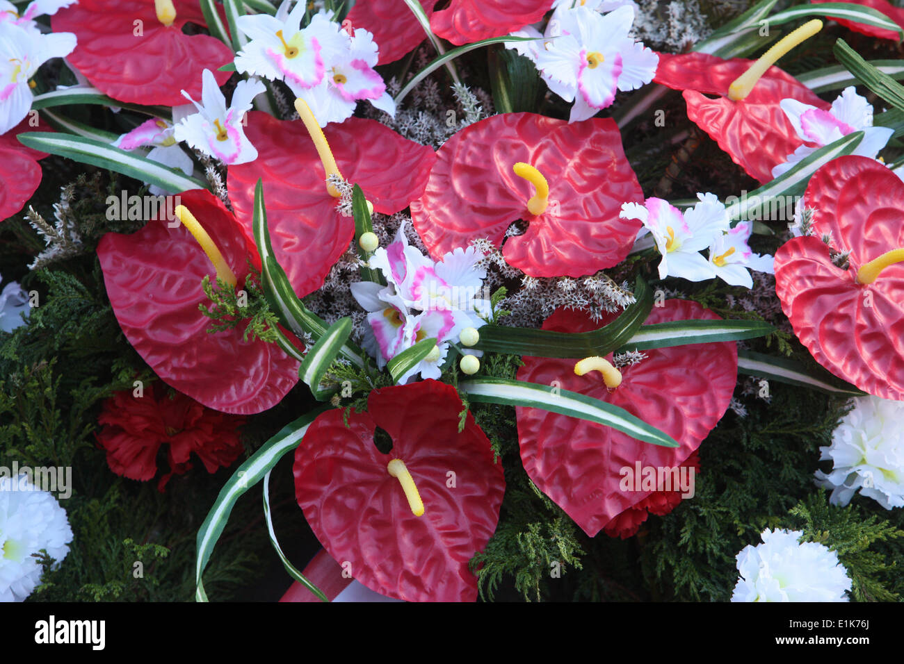 Flowers. Stock Photo