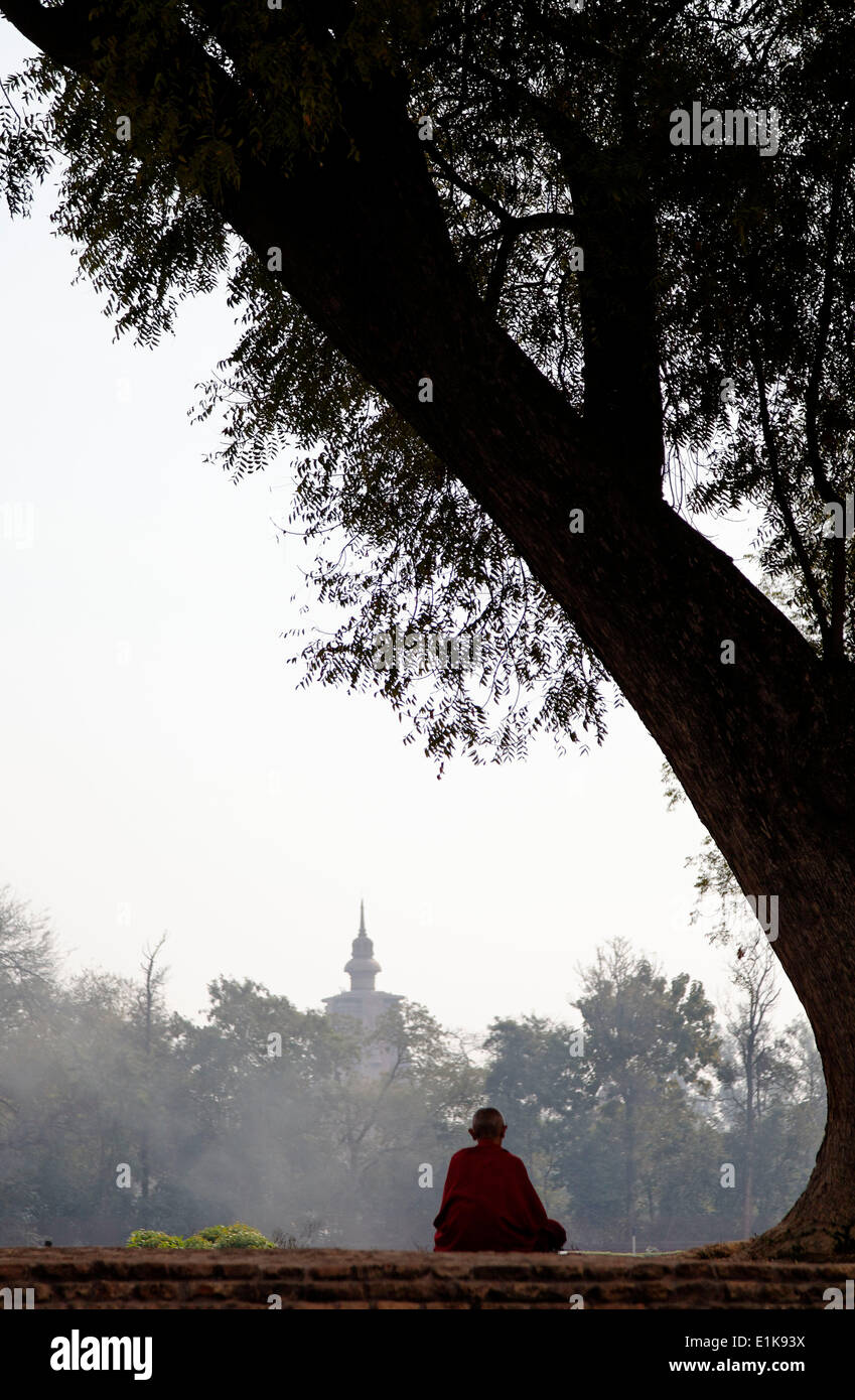 Buddhist monk praying close to the Dhamek Stupa, said to mark the spot where the Buddha gave the first sermon to his five discip Stock Photo