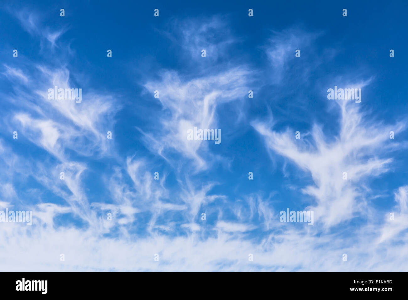 Cirrus cloud Plumes of cirrus cloud in the sky Depending on their shape these clouds are also known as 'Mare's Tails' or Stock Photo