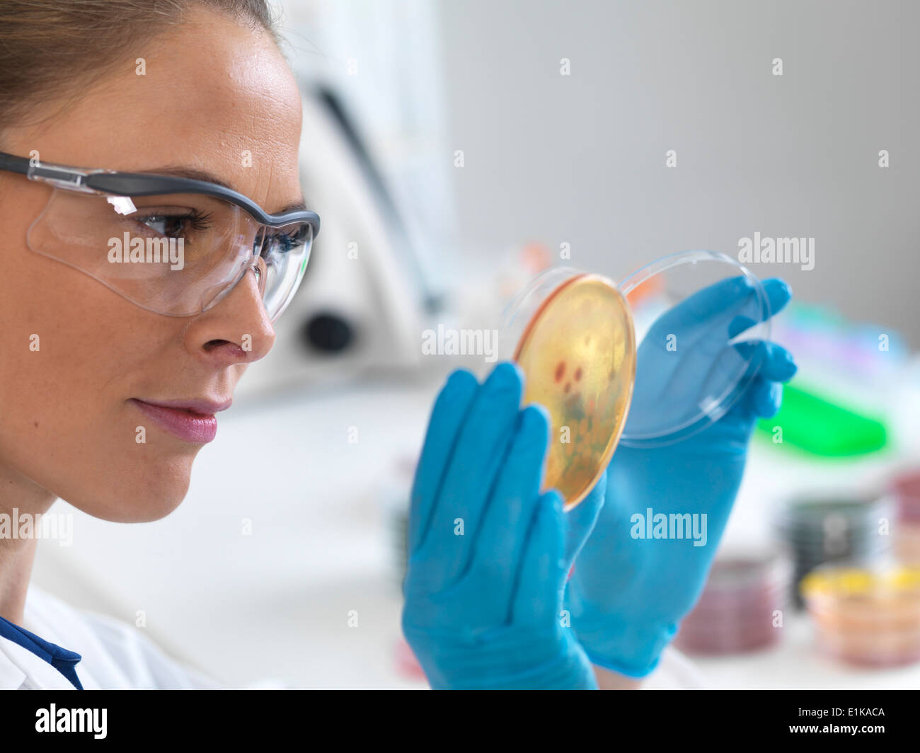 Female scientist holding petri dish with biological cultures Stock ...