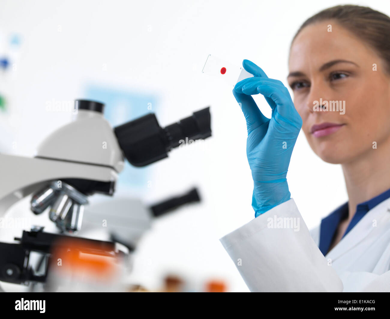 Female scientist holding a microscope slide with a blood sample Stock
