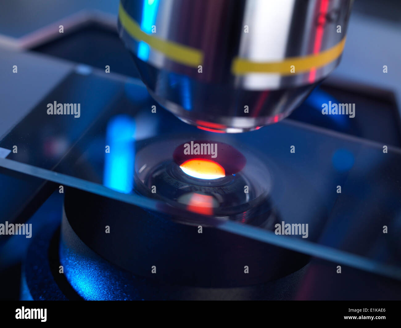 Microscope slide on microscope Stock Photo Alamy