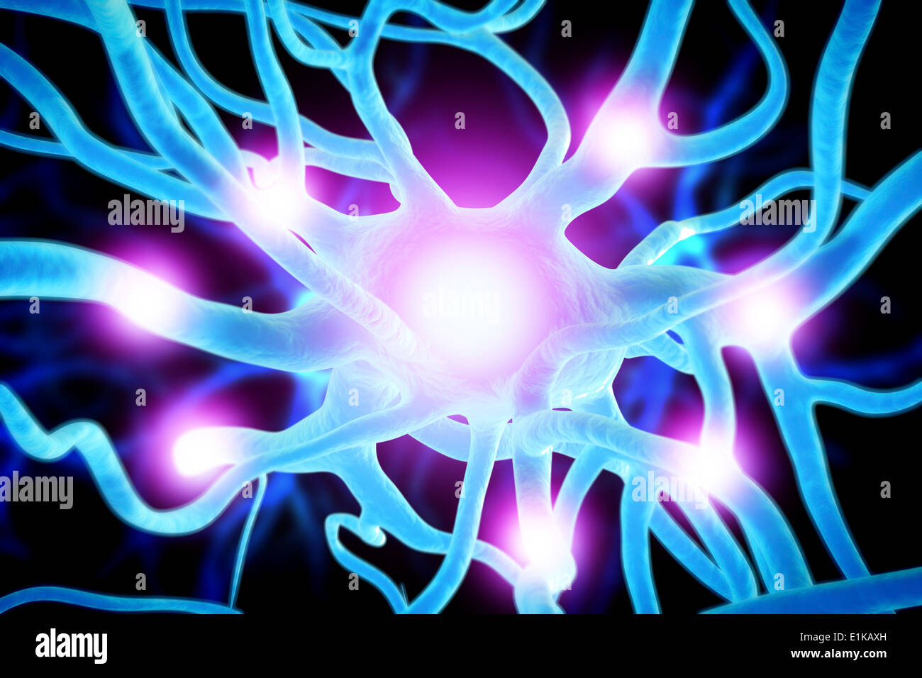 Nerve cell computer artwork Stock Photo - Alamy