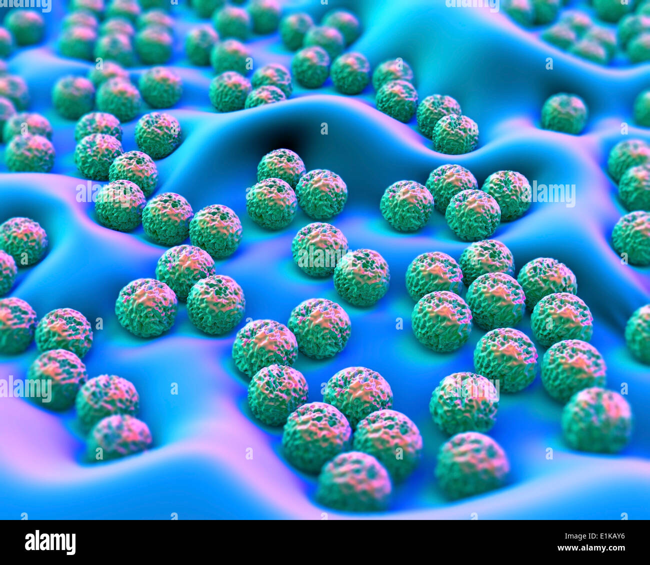 Superbug bacteria computer artwork. Stock Photo
