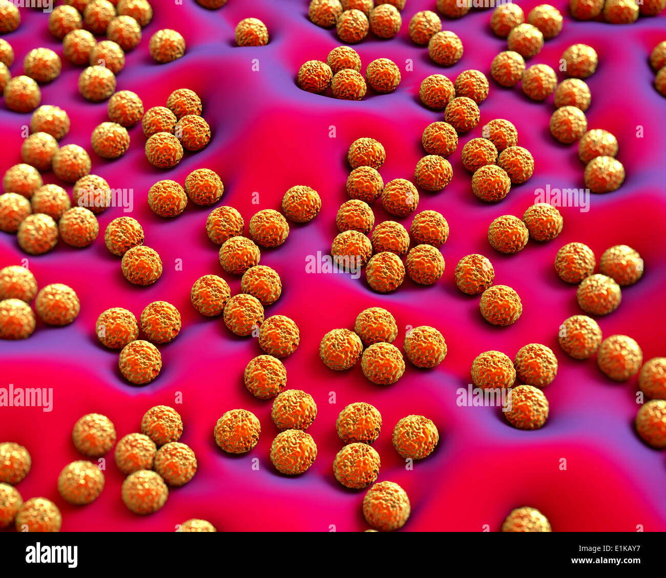 Superbug bacteria computer artwork. Stock Photo