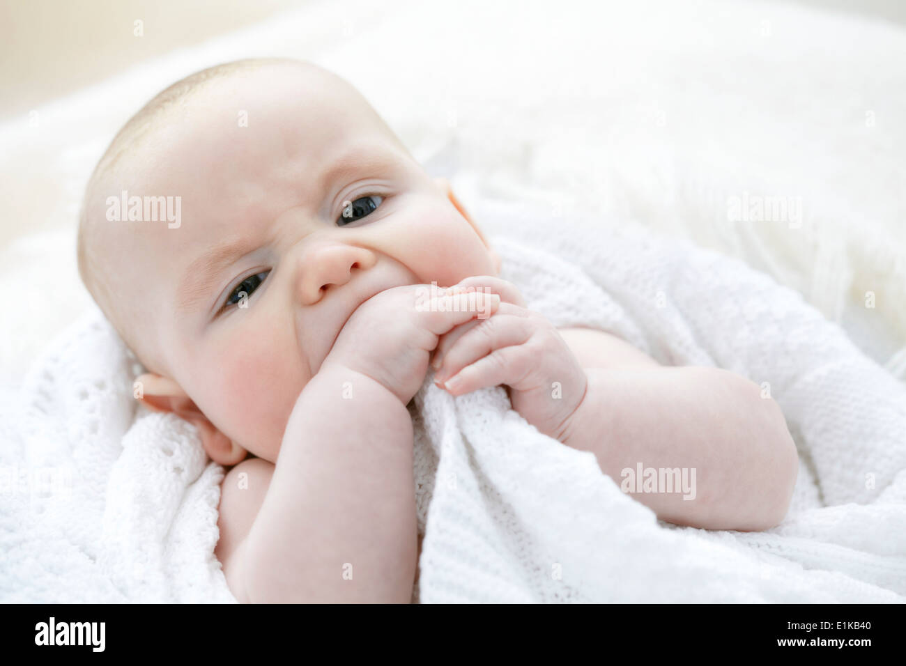 MODEL RELEASED Baby boy chewing his hand Stock Photo Alamy