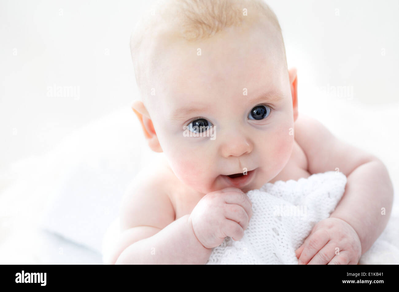 MODEL RELEASED Baby boy portrait Stock Photo Alamy