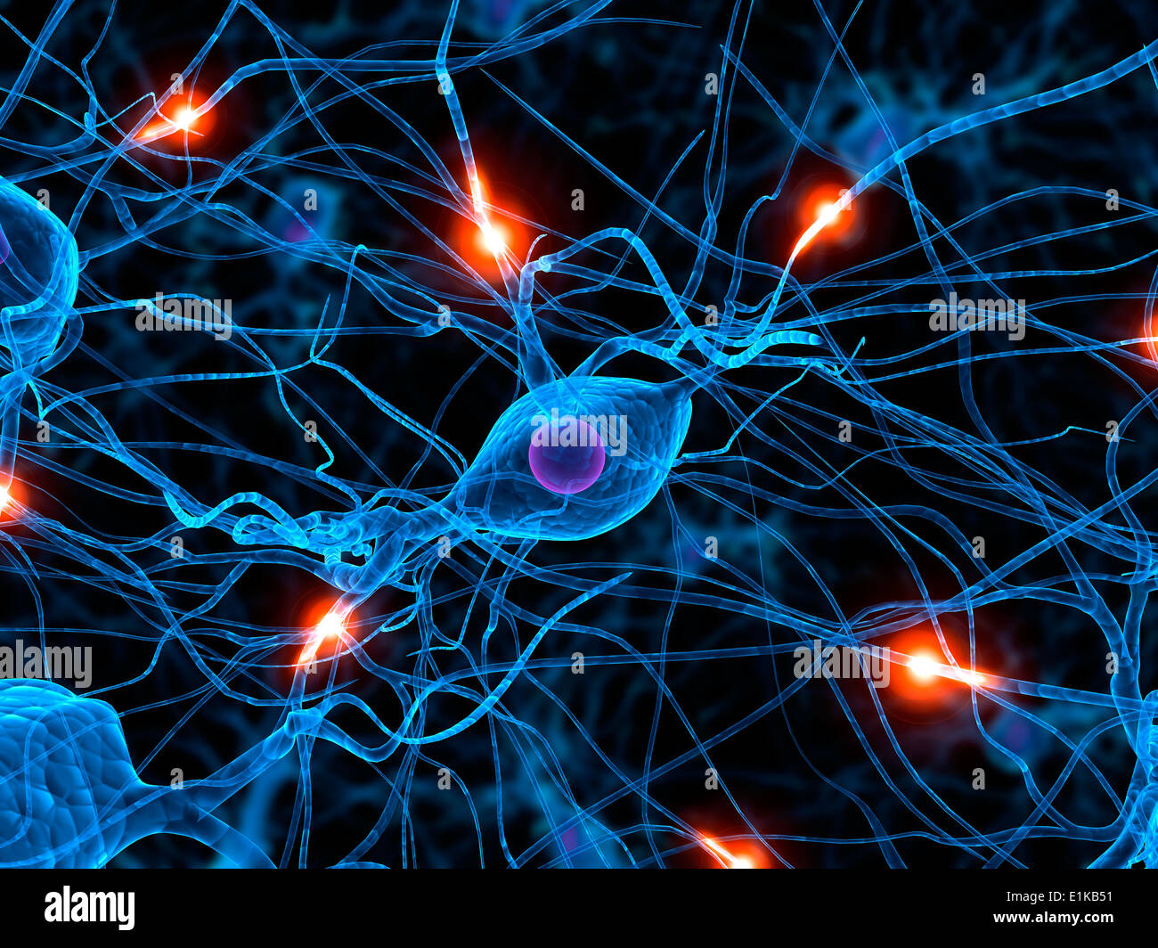 Nerve cell network hi-res stock photography and images - Alamy