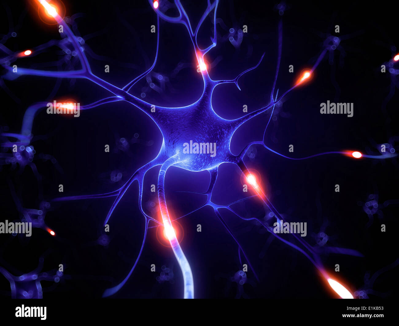 Nerve cell computer artwork Stock Photo - Alamy