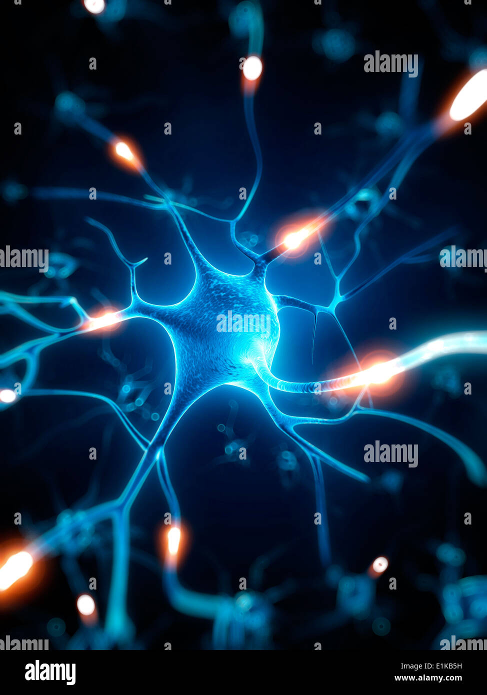 Nerve cell computer artwork Stock Photo - Alamy