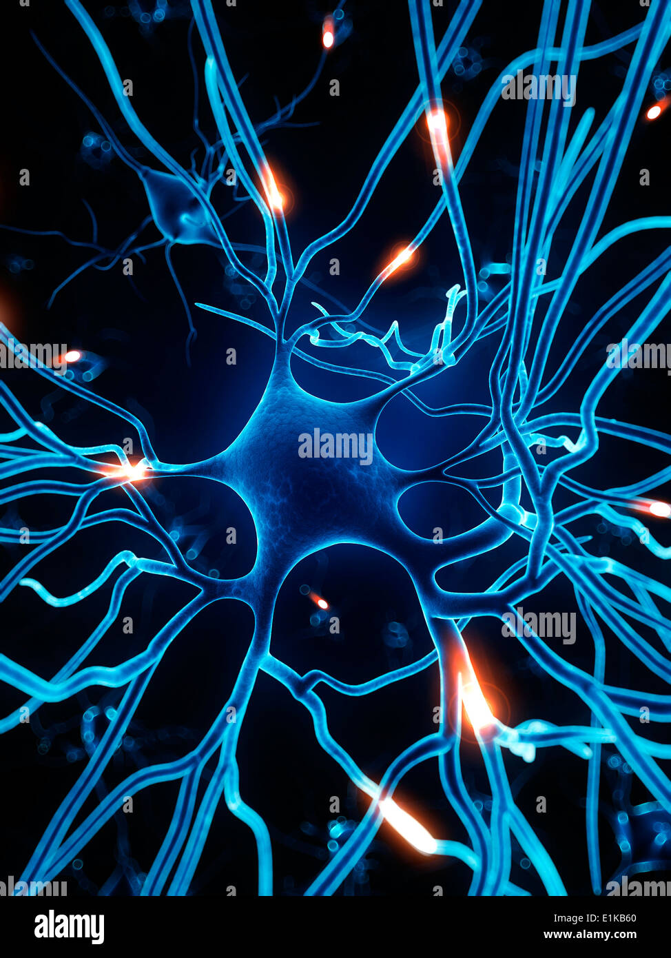 Nerve cell computer artwork Stock Photo - Alamy