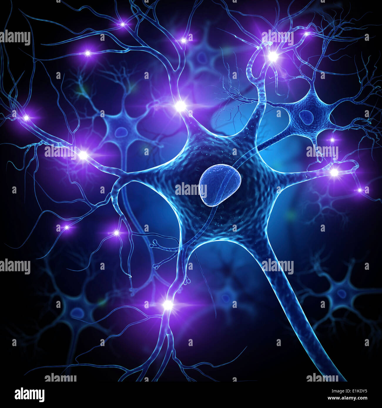 Nerve cell computer artwork Stock Photo - Alamy
