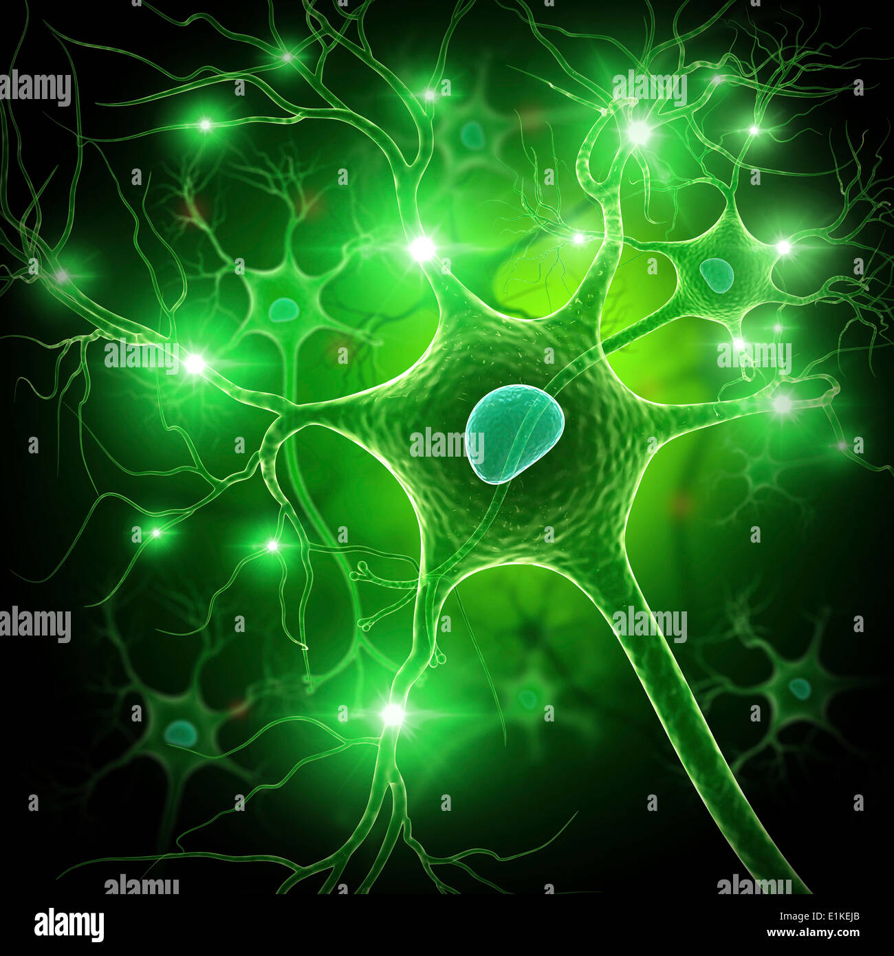 Nerve cell computer artwork Stock Photo - Alamy