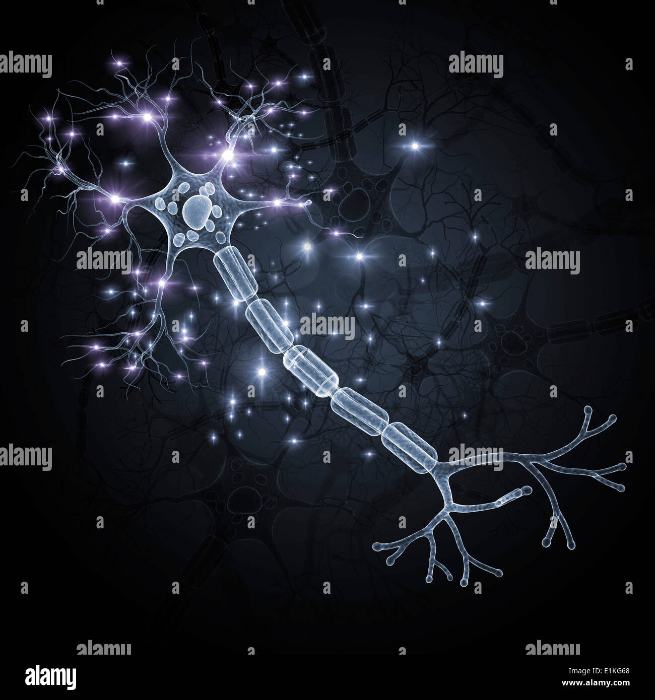Nerve cell computer artwork Stock Photo - Alamy