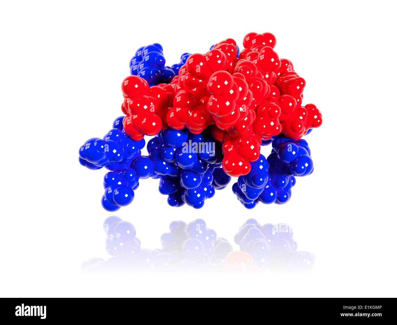 Insulin molecule Computer model showing the structure of a molecule of the hormone insulin Insulin consists of two peptide Stock Photo