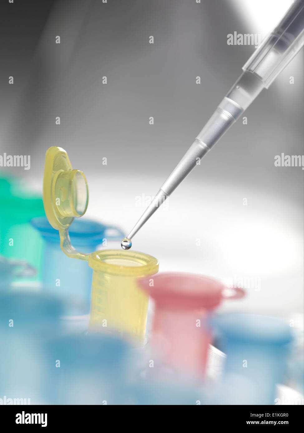 Pipette dropping a solution into a vial used for storing liquid during chemical or biological research. Stock Photo