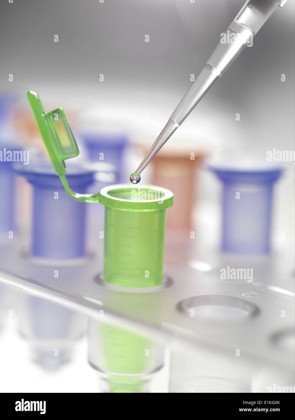 Pipette dropping a solution into a vial used for storing liquid during chemical or biological research. Stock Photo