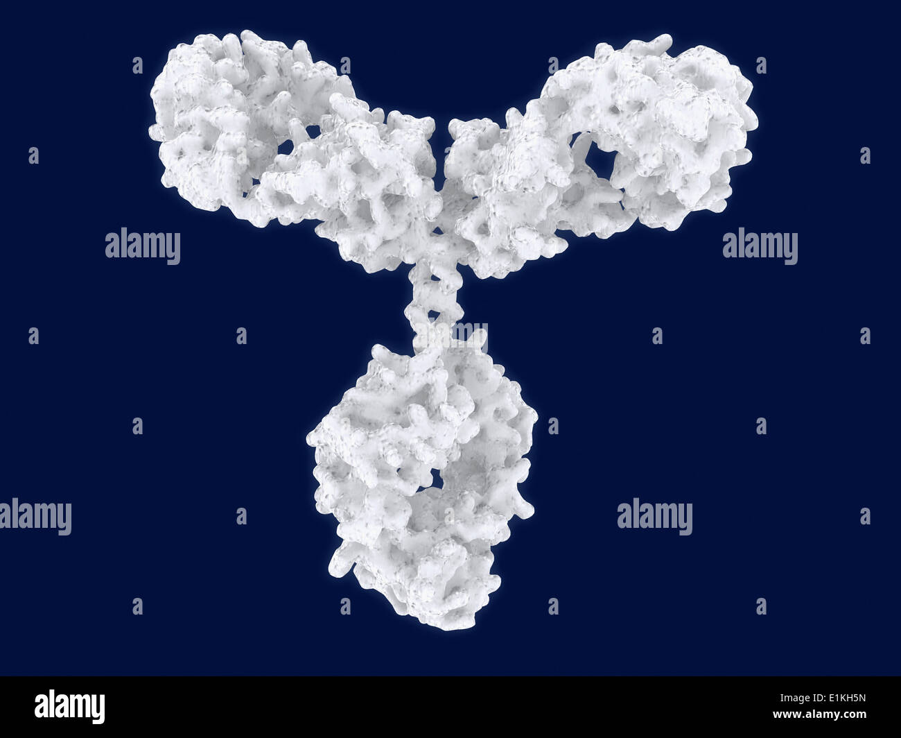 Antibody structure hi-res stock photography and images - Alamy