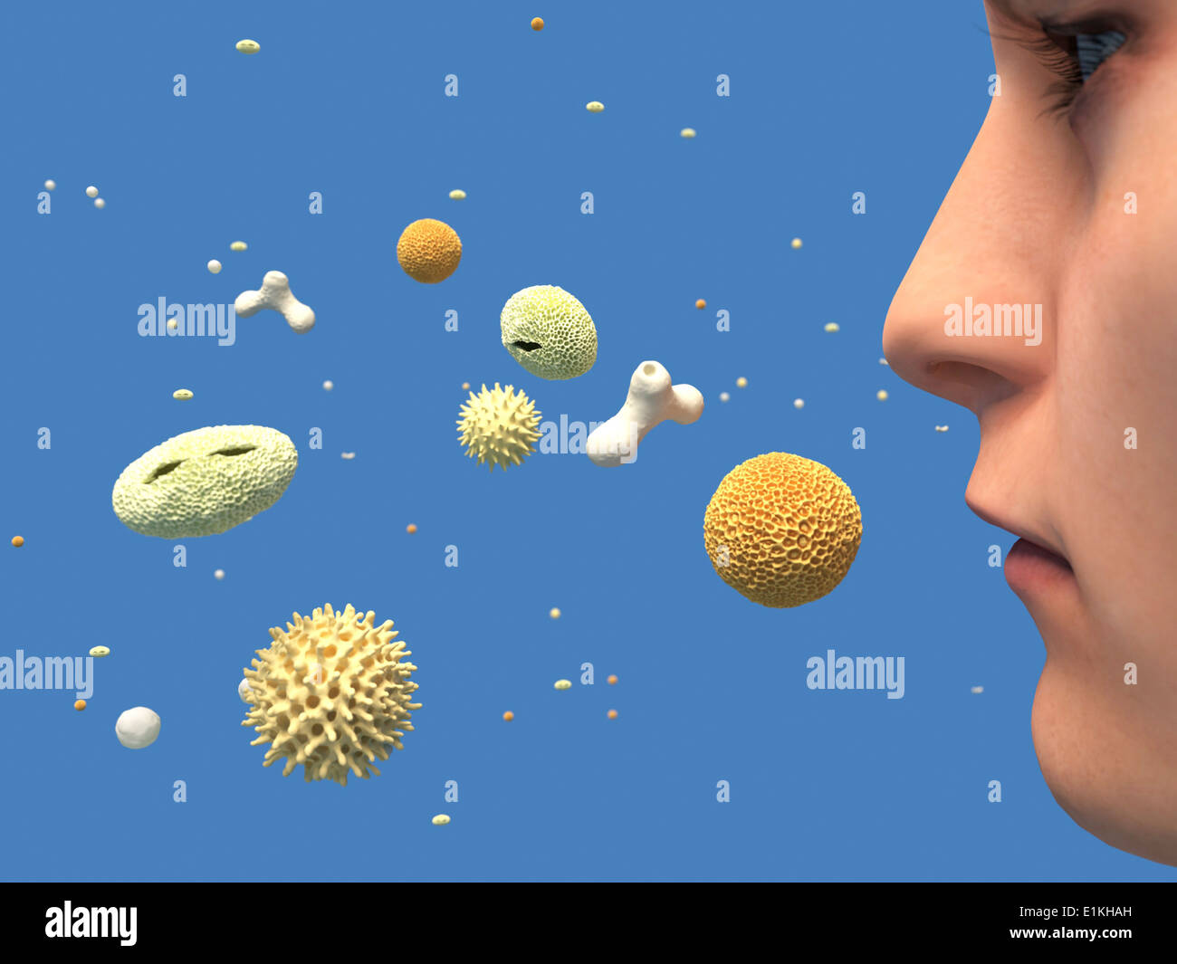 Artwork of pollen that causes hay fever. Stock Photo