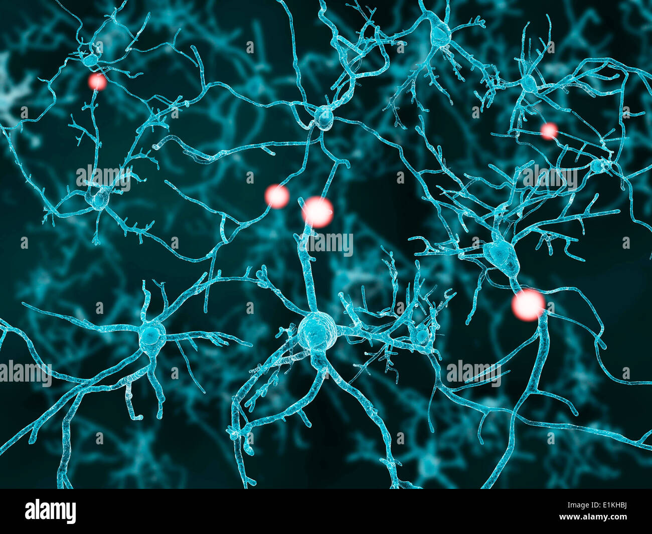 Artwork of nerve cells Stock Photo - Alamy
