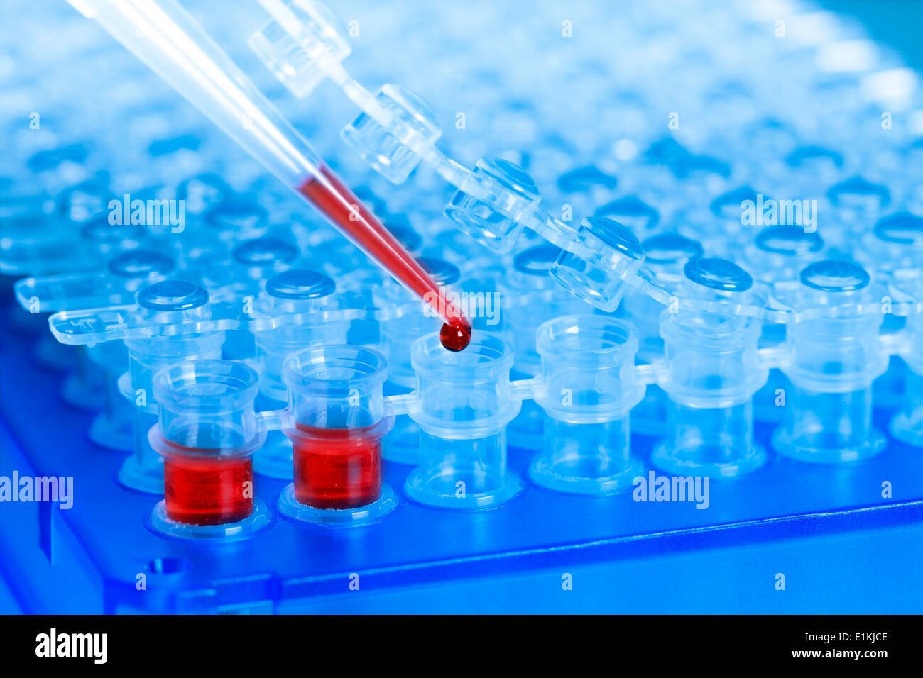 Pipette and drop of blood with microtubes Stock Photo Alamy