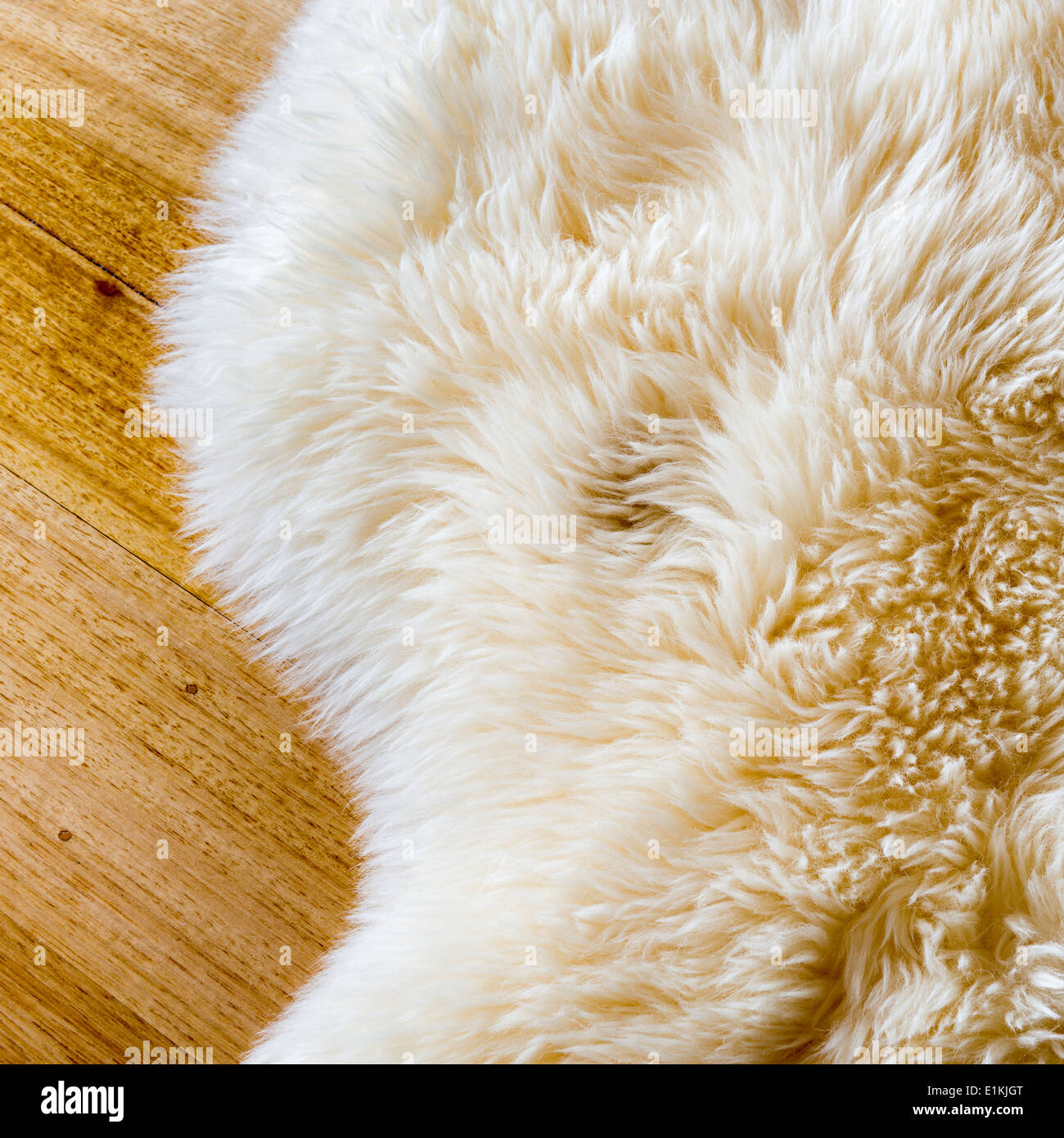 Lambs wool hi-res stock photography and images - Alamy