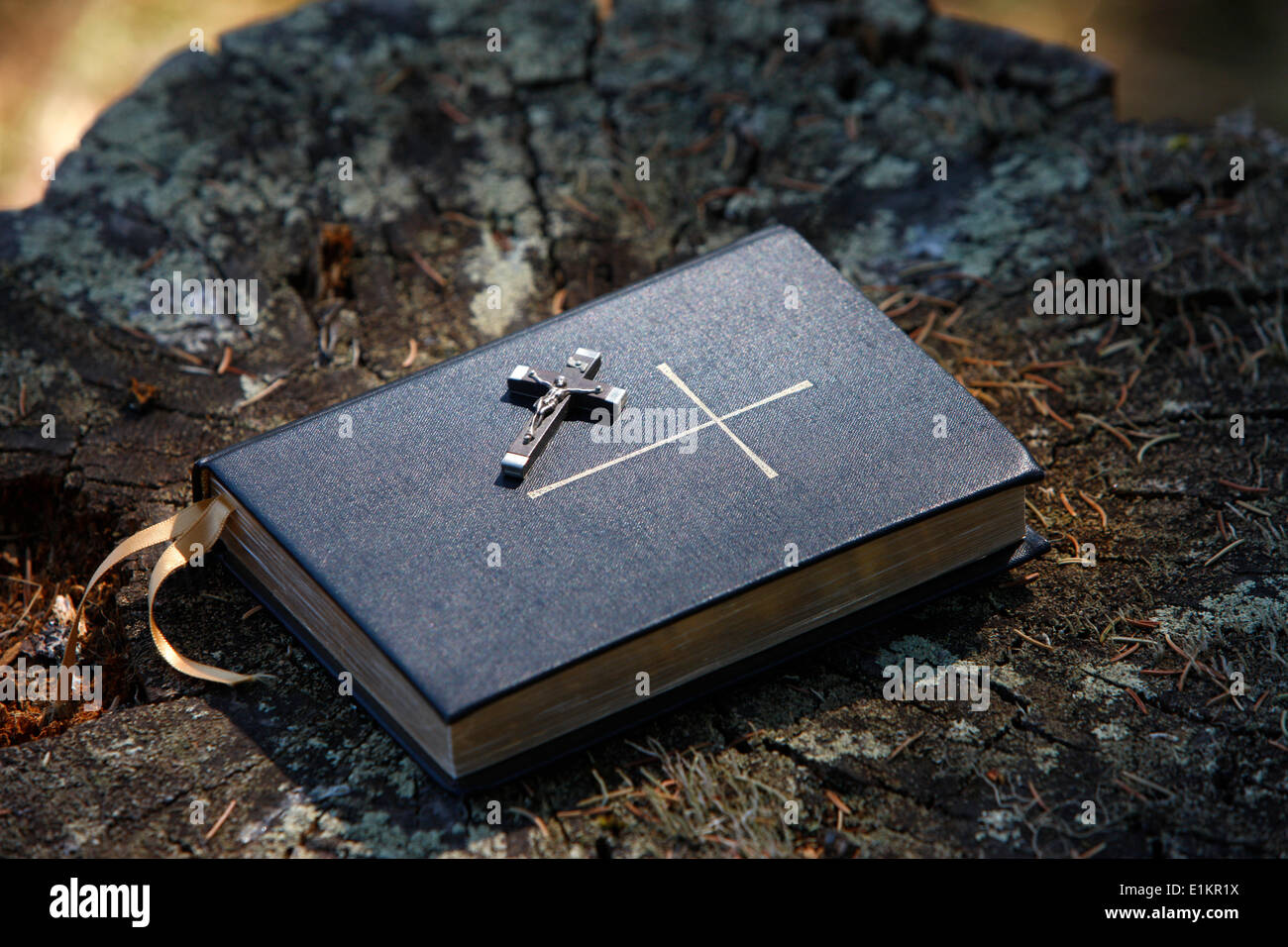 Bible on tree bark Stock Photo
